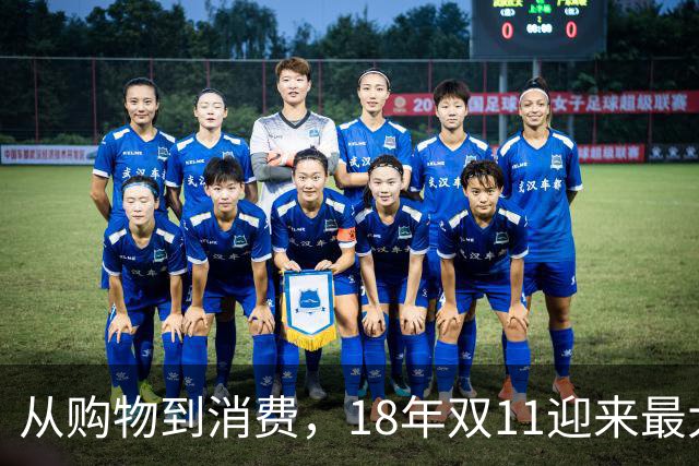 从购物到消费，18年双11迎来最大一次跃迁